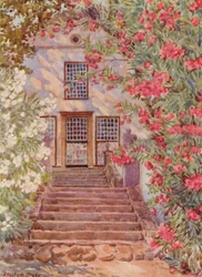 Roze en witte oleanders, Alphen, Wynberg (kleurenlitho)