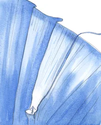 Iemand die gevangen zit in ernstige zonde is als iemand die vastzit op een kleine richel, diep in de afgrond, 2005 (aquarel op papier)