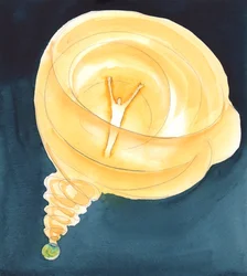 Uit de 