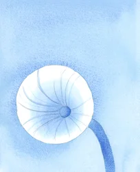Het voedsel dat God ons ter beschikking stelt moet gezien worden als brandstof voor onze reis op aarde, 2005 (aquarel op papier)