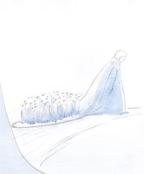 De ziel die Christus liefheeft, trekt anderen mee in haar kielzog, terwijl ze haar taak vervult in het dooppriesterschap van allen die Christus liefhebben en gehoorzamen