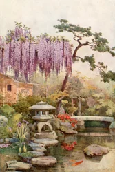 Wisteria in een Kyoto-tuin