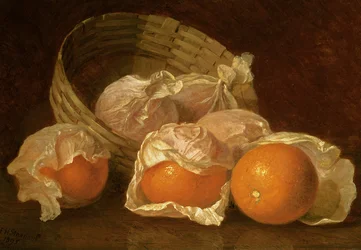 Een Mand Sinaasappels, 1895