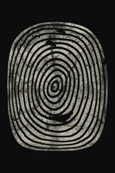 Biologische ringen met structuur