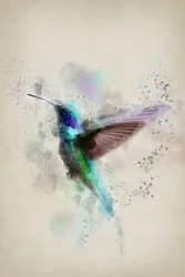 Levendige kolibrie in aquarel