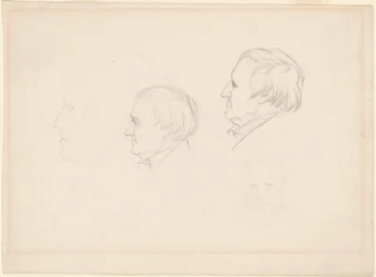Studies van Mannen