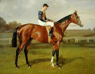 "Spearmint", winnaar van de Derby van 1906, 1906