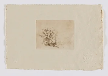 Connecticut Hillside (fm. portefeuille)