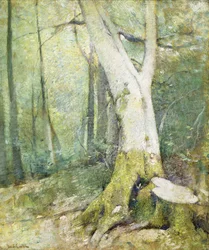 Bosinterieur