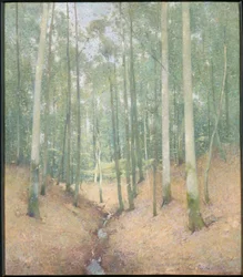 Bosinterieur