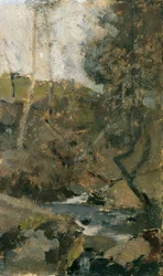 Beek in het Wienerwald