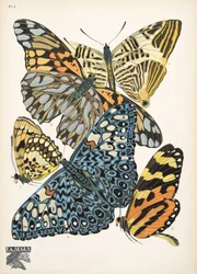Plaat 3, uit Papillons, pub. 1925