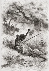 Een luipaard die een Afrikaan aanvalt, illustratie uit 