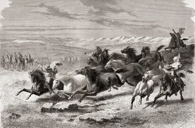 Argentijnse gaucho