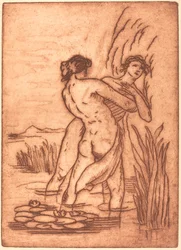 Koppel staand in water