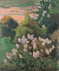 Saint-Briac landschap, 1886