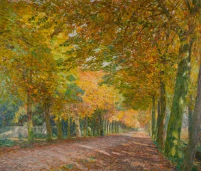Zonnige steeg