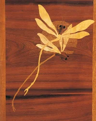 Libellen, detail van Art Nouveau stijl kast, ca. 1900, Frankrijk, 20e eeuw