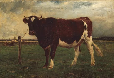 Studie van een Koe, 1870-90