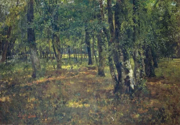 Hout
