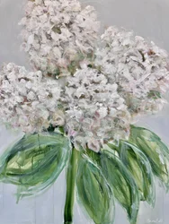 Schilderachtige witte hortensia’s