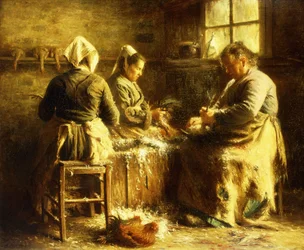 Pluimen van Kippen - Late Ochtend Zomer in Bretagne