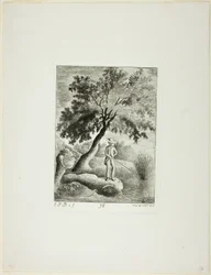 De Visser