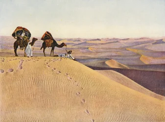 Kamelen in de Sahara (gekleurde foto)