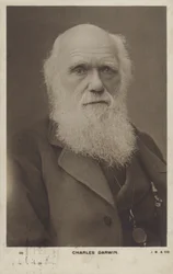Charles Darwin (1809-1882), Engelse natuuronderzoeker