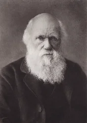 Charles Darwin, portret, ca. 1880