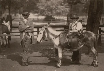 Ezelritten op Clapham Common
