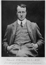 Edward A. Wilson, c.1910 (zwart-wit foto)