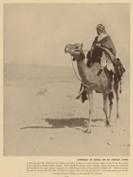 Lawrence of Arabia op zijn beroemde kameel