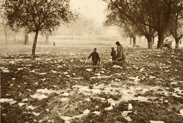 Met afval bezaaid gras op Hampstead Heath de dag na een Bank Holiday, uit Wonderful London, gepubliceerd 1926-27