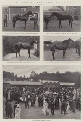 De Ascot Bijeenkomst van 1901
