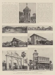 Het voorkomen van dierenmishandeling in India