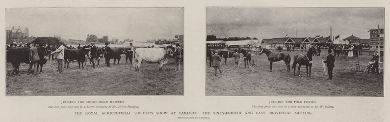 De Tentoonstelling van de Koninklijke Landbouwmaatschappij in Carlisle, de Vierenzestigste en Laatste Provinciale Bijeenkomst