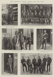 De Transvaal-crisis, troepen voor de Kaap