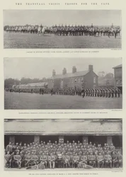 De Transvaal Crisis, troepen voor de Kaap