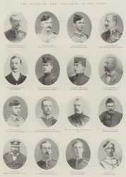 De Transvaal Oorlog, Slachtoffers aan het Front