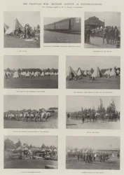 De Transvaalse Oorlog, Militaire Activiteit in Pietermaritzburg