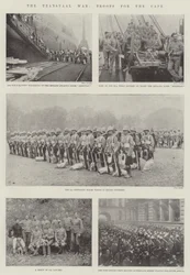 De Transvaal Oorlog, troepen voor de Kaap