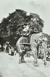 Dierentuin, Regents Park: olifantenritten, Londen, ca. 1895
