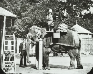 Dierentuin, Regents Park: olifant met volwassenen en kinderen die een ritje maken, Londen Zoo, 1894
