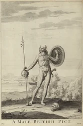 Een Mannelijke Britse Pict