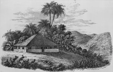 Een plantershuis in Brazilië (lithografie)