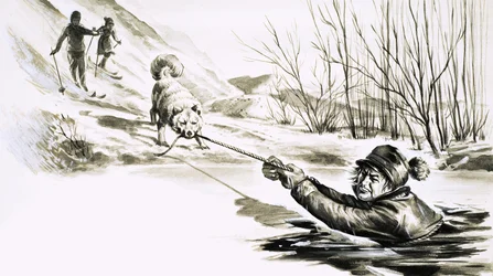 Een hond redt een man uit een ijskoude poel