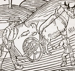 Een paar ossen aangespannen aan een ploeg, titelpagina uit John Fitzherberts Boke of Husbandry, eerst gepubliceerd 1523