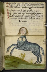 Jachtboek