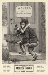 Advertenties, Brooke